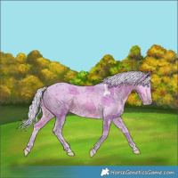 Horse Color:Watercolor Silver Smoky Creme Merle 