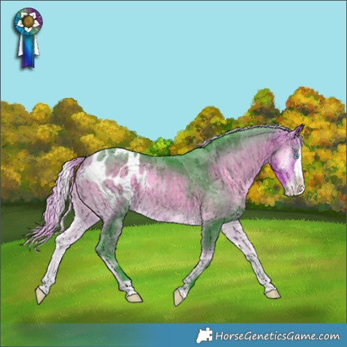 Horse Color:Watercolor Silver Buckskin Onyx Merle Splash Appaloosa 