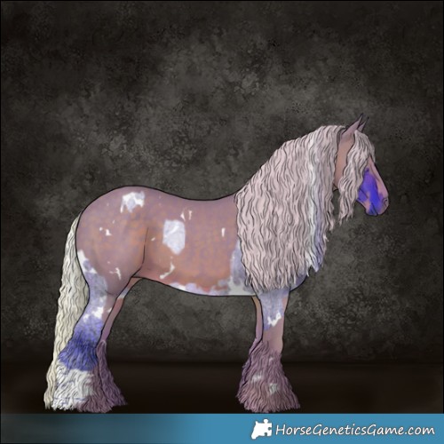 Horse Color:Watercolor White Spotted Brown Ice Dun and Watercolor White Spotted Silver Black