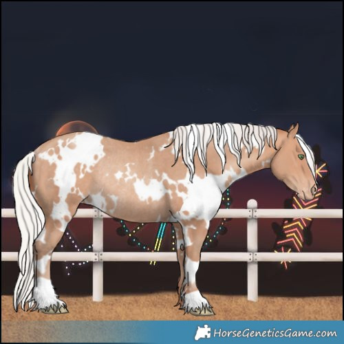 Horse Color:White Spotted Silver Amber Champagne Varnish Rabicano 