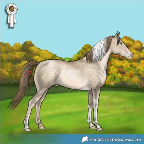 Horse Color:Buckskin Pearl Tobiano Appaloosa Rabicano 