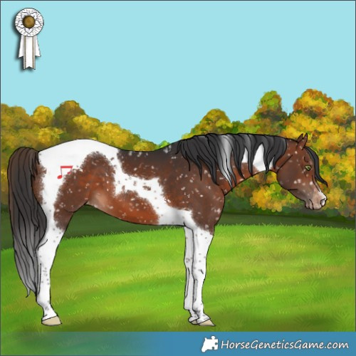 Horse Color:Brown Tobiano Snowflake Varnish