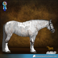 Horse Color:Liver Red Dun Roan Tobiano Snowflake VarnishRabicano Brindle and Blue Roan Tobiano Snowflake VarnishRabicano