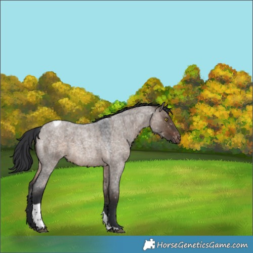 Horse Color:Brown Roan Dun Tobiano Snowflake Varnish 