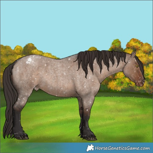 Horse Color:Liver Red Dun Roan Snowflake VarnishRabicano Brindle 