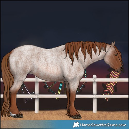 Horse Color:Red Roan 