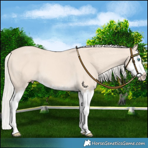 Horse Color:Cremello Splash  and Cremello Splash 