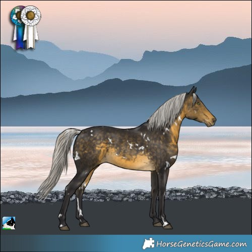 Horse Color:White Spotted Silver Buckskin Rabicano 