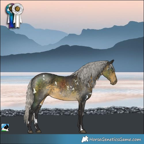 Horse Color:White Spotted Silver Buckskin Rabicano 