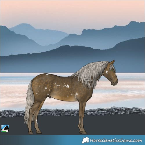 Horse Color:White Spotted Silver Buckskin Rabicano 