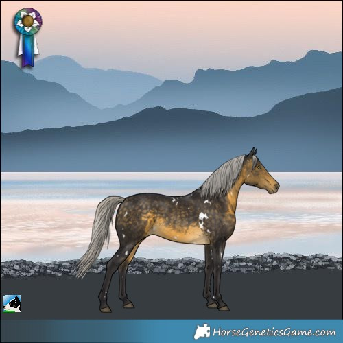 Horse Color:White Spotted Silver Buckskin Rabicano