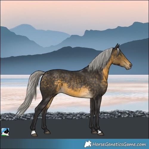 Horse Color:Silver Buckskin Rabicano