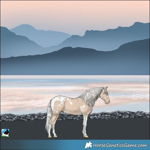 Horse Color:White Spotted Silver Perlino Tobiano 