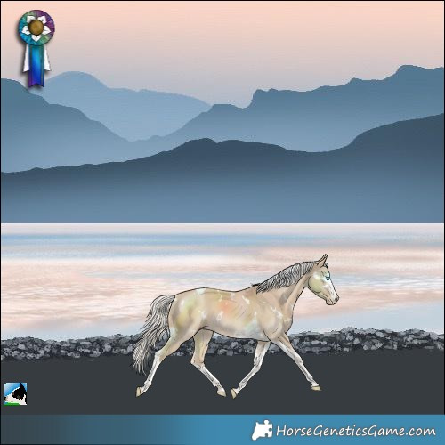 Horse Color:White Spotted Cremello Splash Tobiano