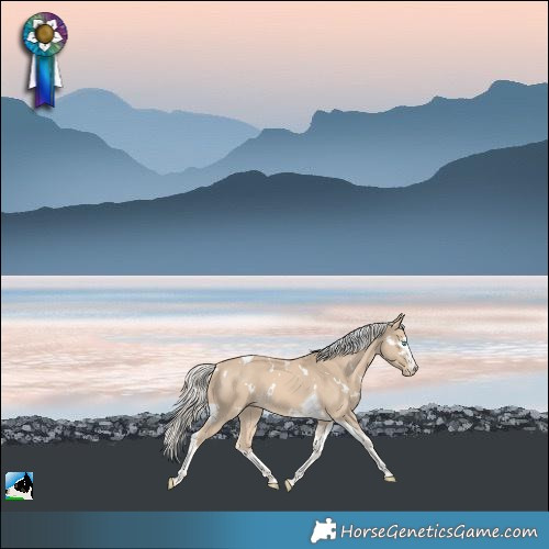 Horse Color:White Spotted Cremello Splash Tobiano