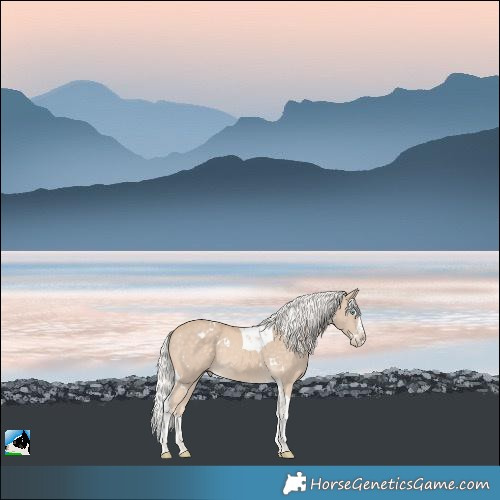 Horse Color:White Spotted Silver Perlino Splash Tobiano 