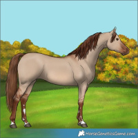 Horse Color:Red Dun