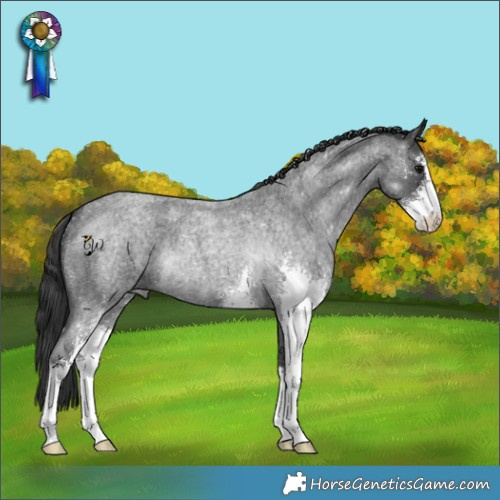 Horse Color:Blue Roan Sabino 