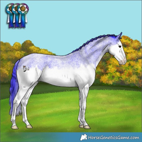 Horse Color:Watercolor Blue Roan Sabino Splash 