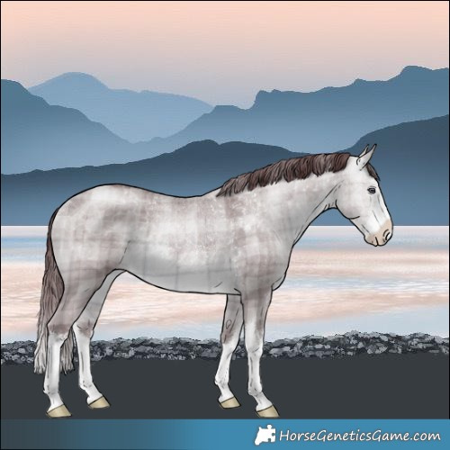 Horse Color:Plaid White Spotted Chocolate Brown Chinchilla Rabicano