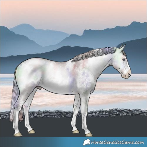 Horse Color:Nacre White Spotted Chocolate Silver Buckskin Chinchilla Onyx Sabino 