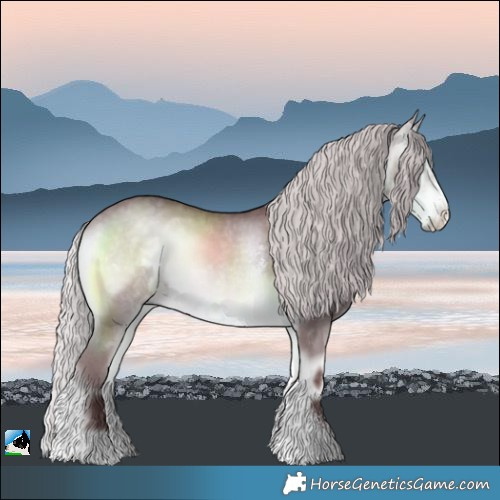 Horse Color:Chocolate Silver Buckskin Chinchilla Onyx Sabino