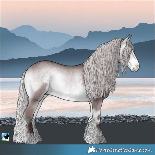 Horse Color:Chocolate Silver Buckskin Chinchilla Onyx Sabino