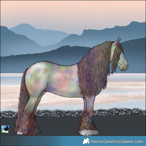 Horse Color:Nacre Chocolate Grullo Chinchilla