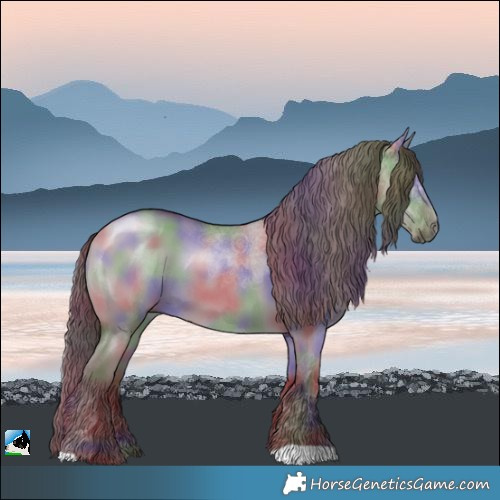 Horse Color:Nacre Chocolate Grullo Chinchilla 