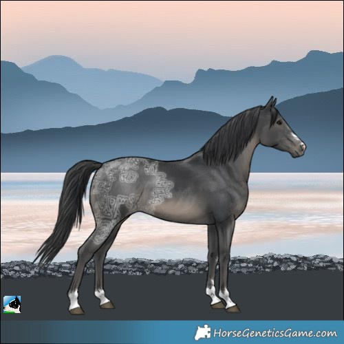 Horse Color:Black Ice 