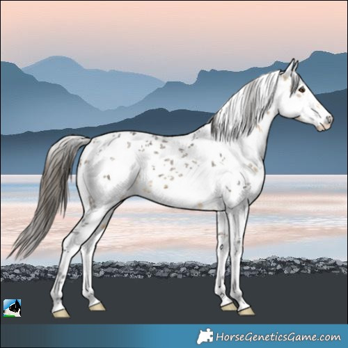 Horse Color:White Spotted Buckskin Mushroom Sabino