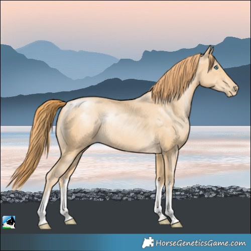 Horse Color:White Spotted Buckskin Pearl 