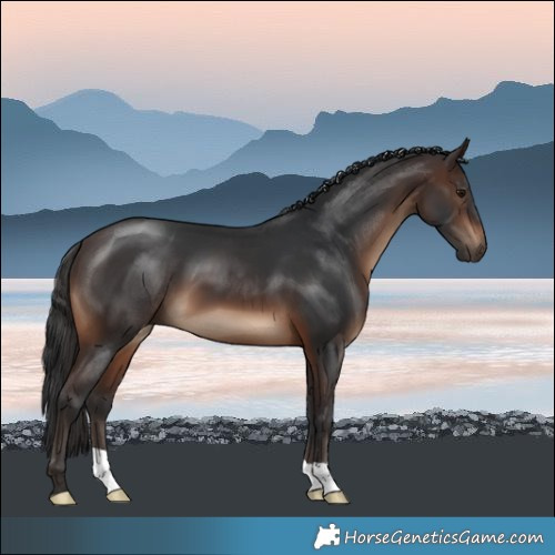 Horse Color:Brown 