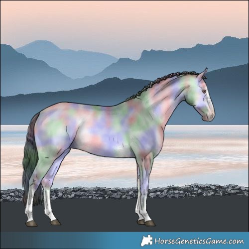 Horse Color:Nacre Buckskin Chinchilla Onyx Sabino Rabicano