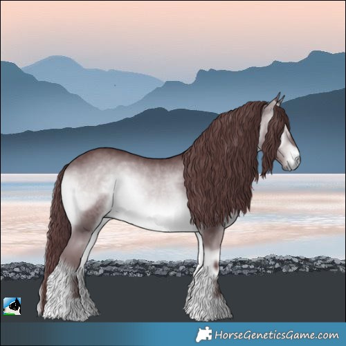 Horse Color:Chocolate Brown Chinchilla Onyx Rabicano 