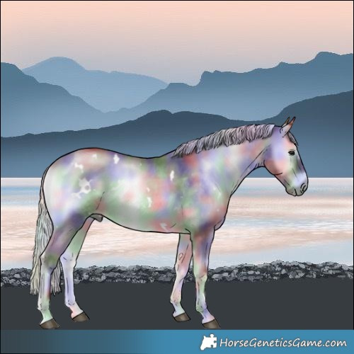 Horse Color:Nacre White Spotted Chocolate Silver Blue Onyx Chinchilla 
