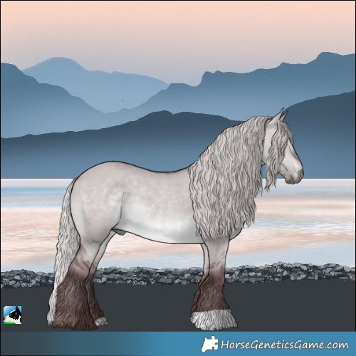 Horse Color:Chocolate Silver Brown Chinchilla Dun Rabicano 