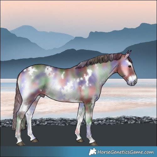 Horse Color:Nacre White Spotted Chocolate Blue Onyx Chinchilla 