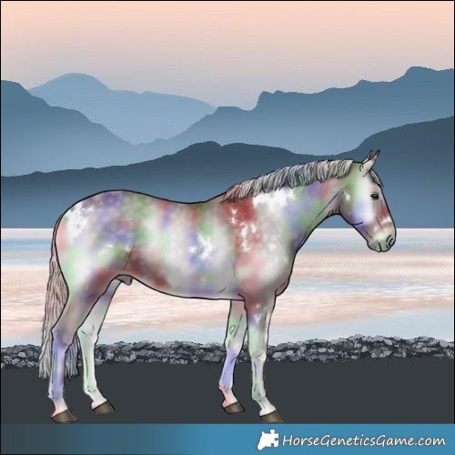 Horse Color:Nacre White Spotted Chocolate Silver Smoky Blue Onyx Chinchilla Rabicano 