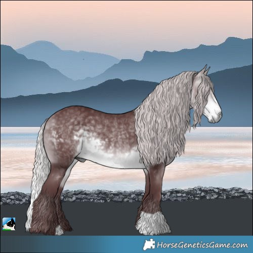 Horse Color:Chocolate Silver Buckskin Chinchilla Rabicano 