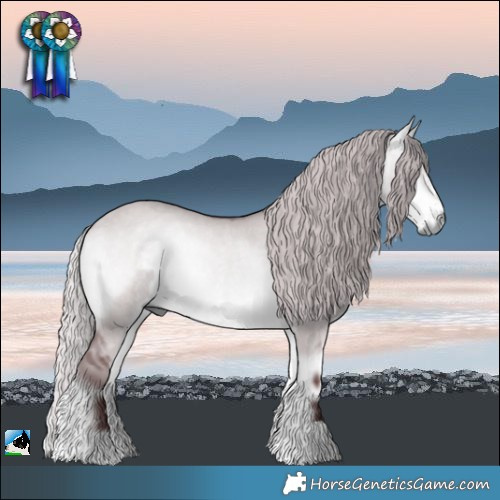 Horse Color:Chocolate Silver Buckskin Chinchilla Onyx Rabicano 