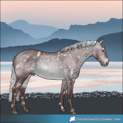 Horse Color:White Spotted Chocolate Silver Bay Chinchilla Rabicano 