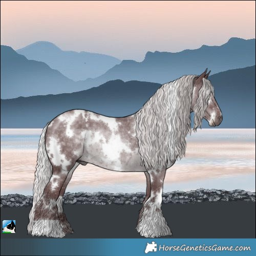 Horse Color:White Spotted Chocolate Silver Black Chinchilla Rabicano 