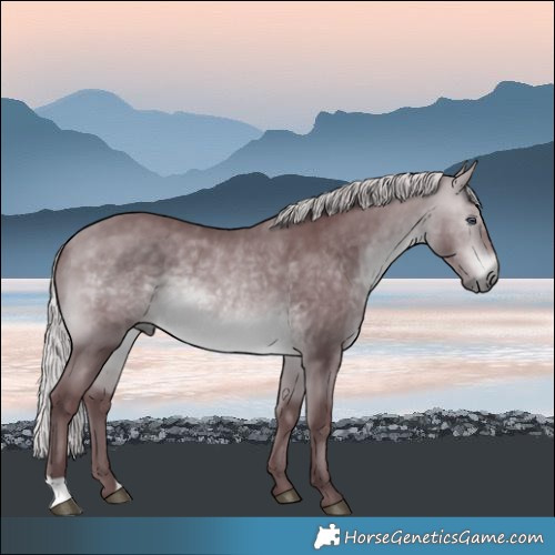 Horse Color:Chocolate Silver Bay Chinchilla Rabicano 