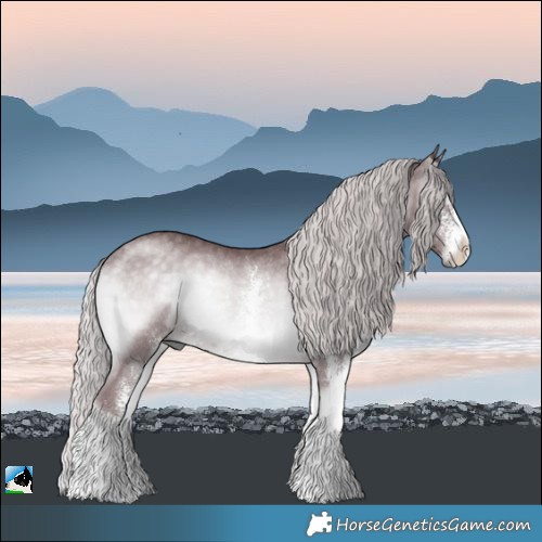 Horse Color:Chocolate Silver Blue Onyx Chinchilla Sabino Rabicano 