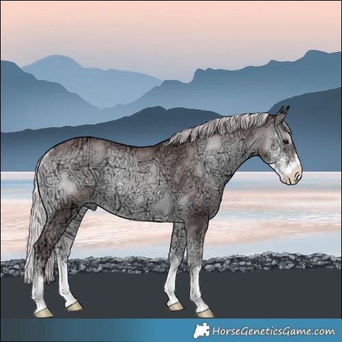 Horse Color:Chocolate Silver Blue Onyx Chinchilla Ice Sabino Rabicano 