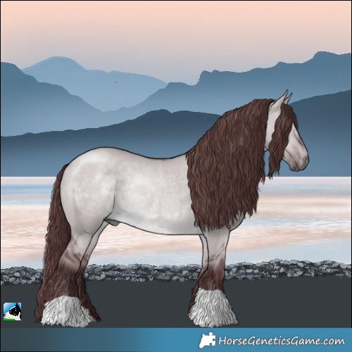 Horse Color:Chocolate Brown Chinchilla Dun Rabicano 
