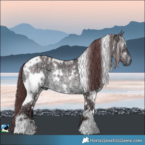 Horse Color:White Spotted Chocolate Brown Chinchilla Ice Dun Rabicano 