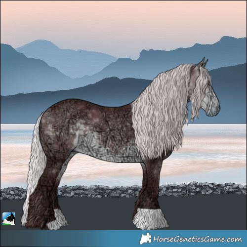 Horse Color:Chocolate Silver Buckskin Chinchilla Ice