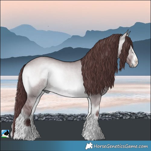 Horse Color:Chocolate Brown Chinchilla Onyx 